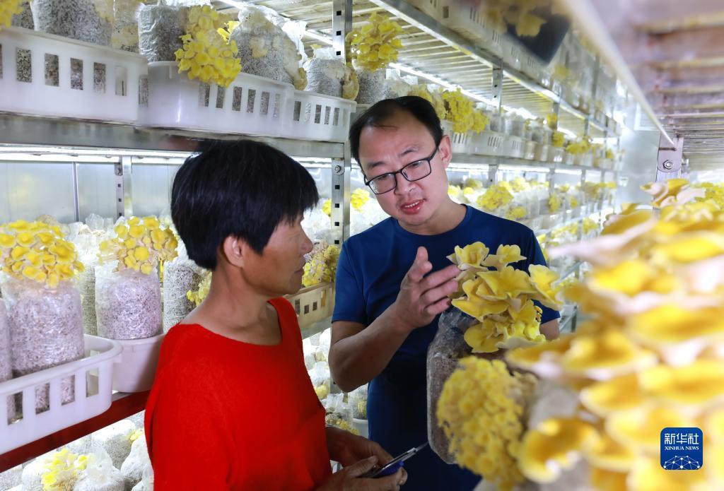 ag试玩入口官网